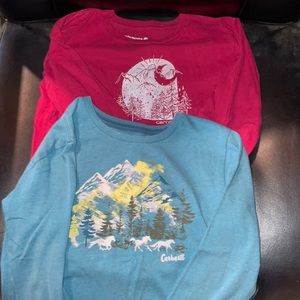 Carhartt long sleeve bundle